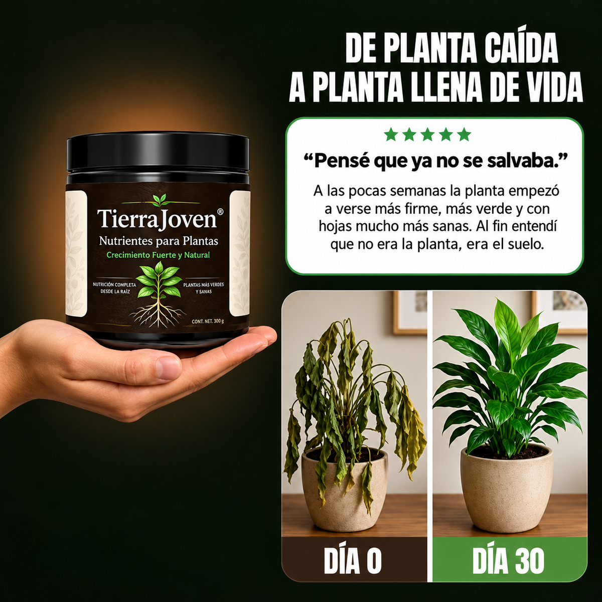 TierraFértil® · Minerales para plantas