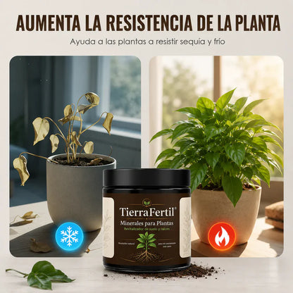 TierraFértil® · Minerales para plantas