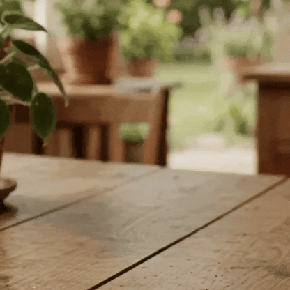 TierraFértil® · Minerales para plantas