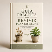 GUÍA PRÁCTICA PARA REVIVIR PLANTAS SECAS