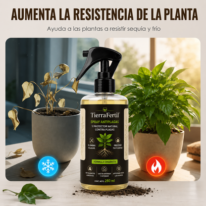 TierraFertil® | SPRAY ANTI PLAGAS
